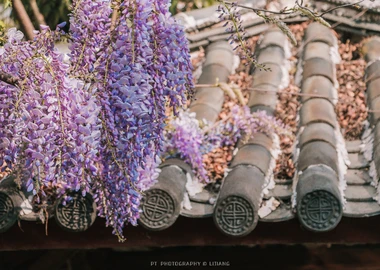 Shuhe Old Town: A Quiet Escape Near Lijiang